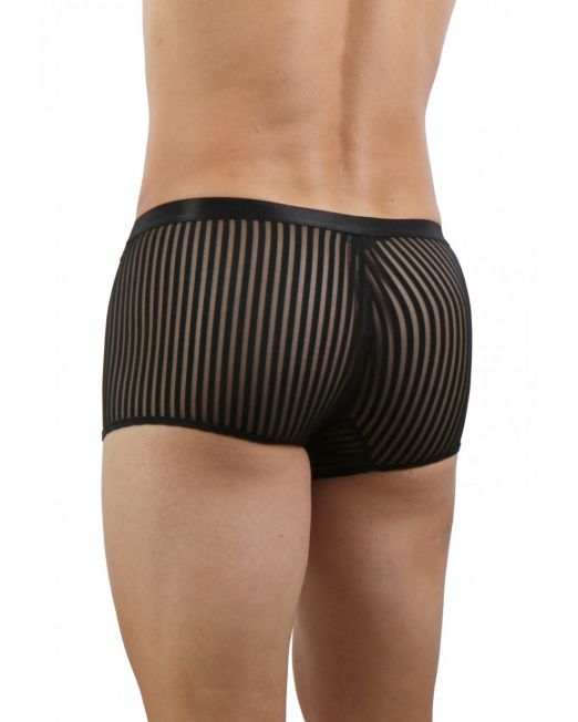 20342-bk-opaque-striped-tulle-boxer (1)