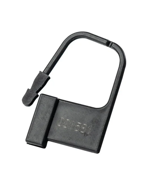 set-van-10-zwarte-wegwerp-hangslotjes-voor-bdsm-kopen