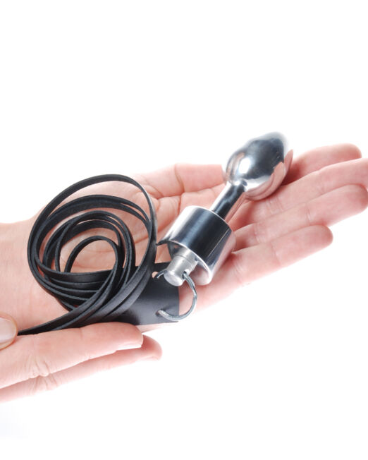 sm-aluminium-anaal-plug-met-zwart-leren-zweep-kopen