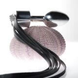 SM ALUMINIUM ANAAL PLUG MET ZWART LEREN ZWEEP