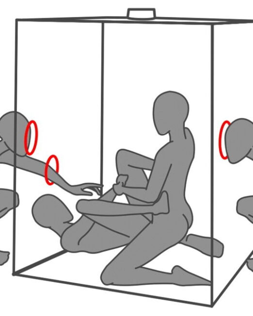 secret-dome-scandale-bdsm-cabine-met-glory-holes-kopen