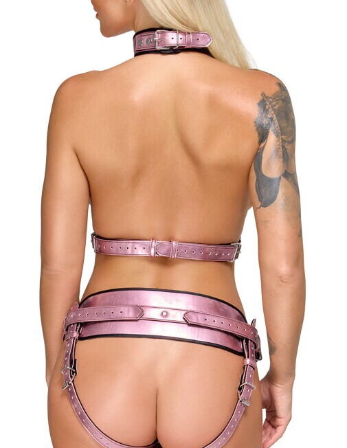 bad-kitty-pink-metallic-borst-en-voorbind-harnas-kopen