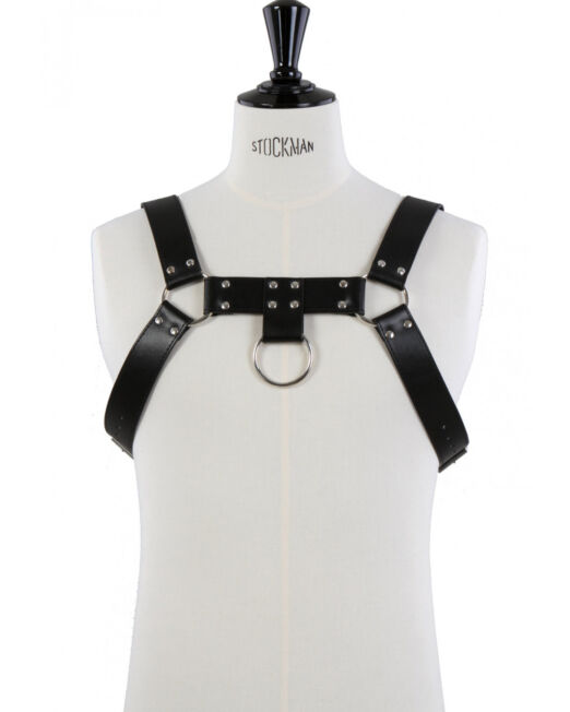 FETISJ ECO LEER BONDAGE HEREN BORST HARNAS