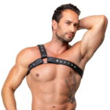 ZADO LEREN HEREN RIEM BORSTTUIG HARNAS MET STUDS
